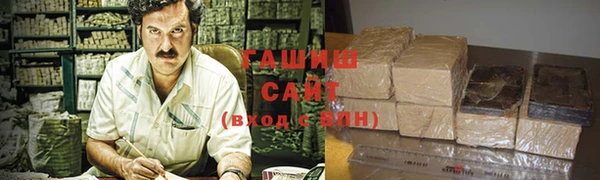 PSILOCYBIN Вяземский