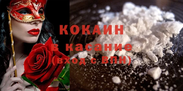 PSILOCYBIN Вяземский