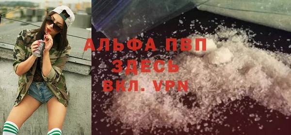 PSILOCYBIN Вяземский