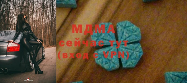 PSILOCYBIN Вяземский