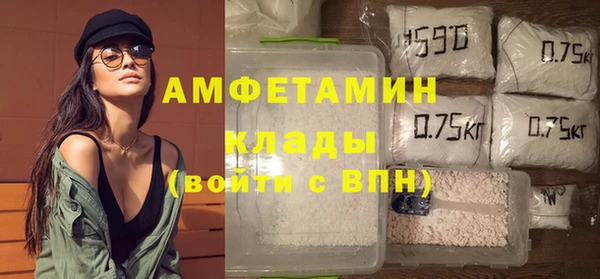 PSILOCYBIN Вяземский