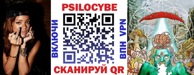 купить   Кувандык  Псилоцибиновые грибы Psilocybine cubensis 
